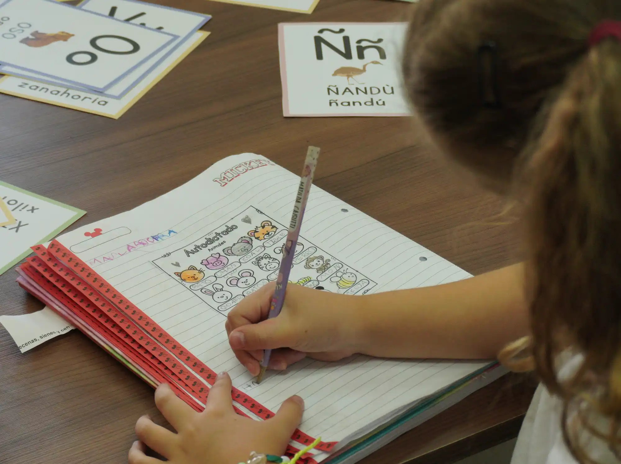 Propuesta Pedagógica Primaria IMC